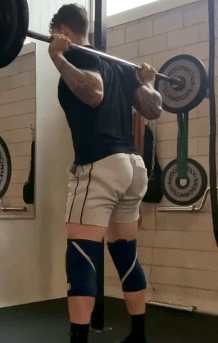 giphy.gif