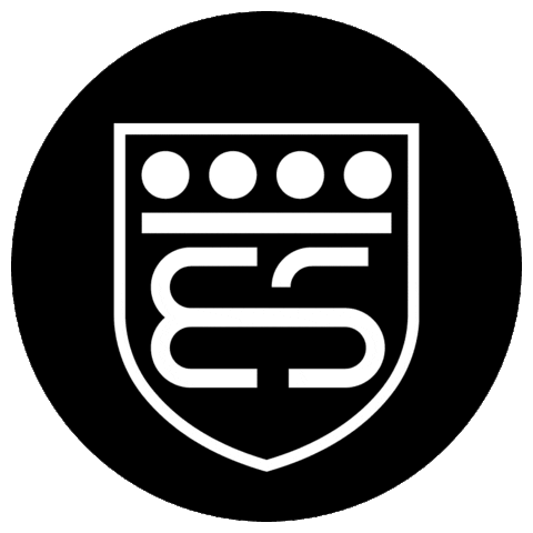 Brixiasupercars Sticker