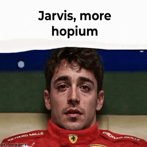 Charles Leclerc Jarvis GIF