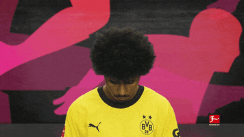 Posing Borussia Dortmund GIF by Bundesliga