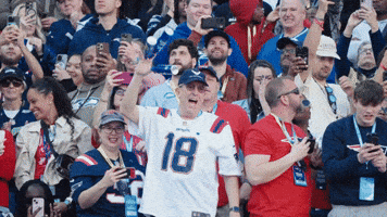 Come Out To Play Super Bowl GIF by New England Patriots