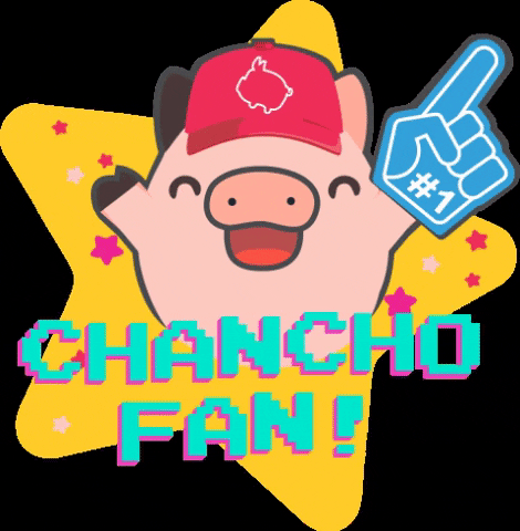TODO CHANCHO GIF
