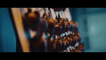 Music Video Art GIF by Red Bull Records