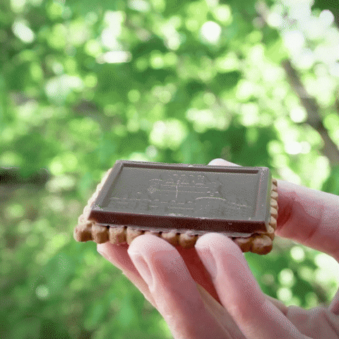 Célébration GIF