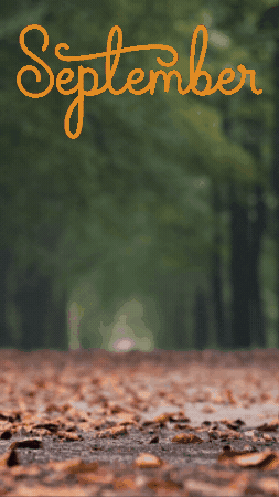 Falling Leaves September GIF by TeaCosyFolk