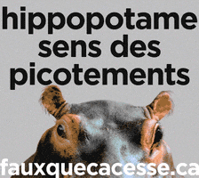 MediaSmarts GIF
