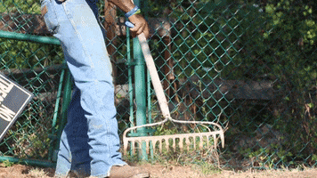 Landscaping Rake GIF by JC Property Professionals