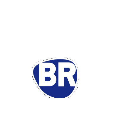 Br Motores Elétricos Sticker