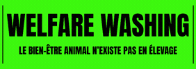 Animal Liberation Welfare GIF by Observatoire du spécisme