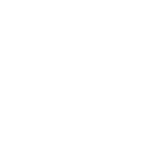 Camerite Sticker