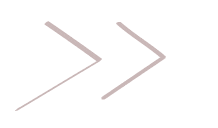 Arrow Seta Sticker