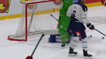 Goal Hype GIF by Champions Hockey League