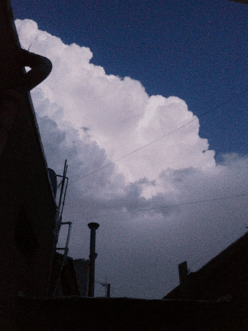 Rain GIF