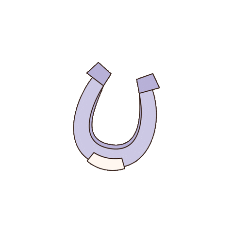 The Slow Rodeo Sticker