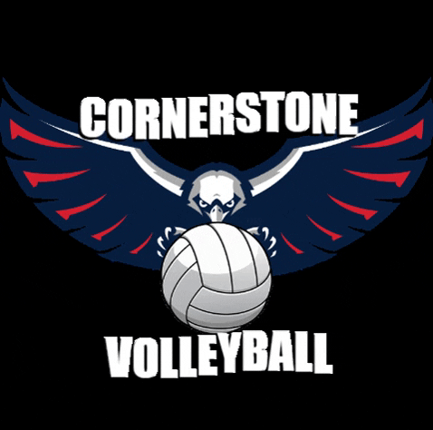 ccaeagle volleyball eagles cca cornerstone christian academy GIF