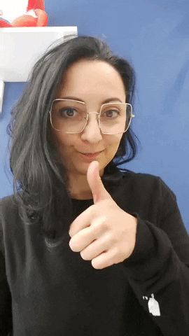 giraffabologna GIF