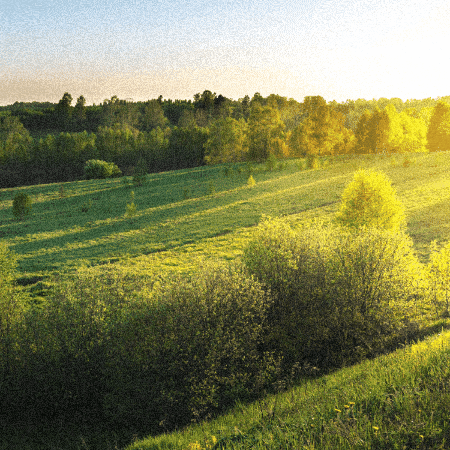 Church Of Christ GIF