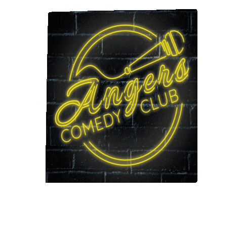 Stand Up Angers Sticker by Premiers Plans