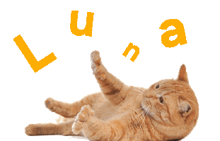 Cats Love Sticker by Luna Pets