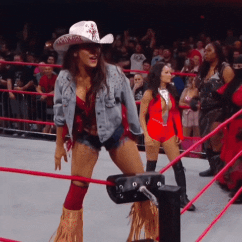 Mickie James Wwe GIF