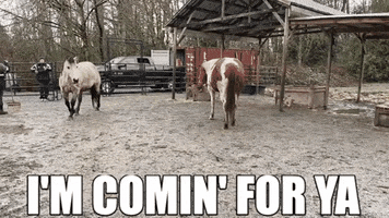 Get Outta Here GIF