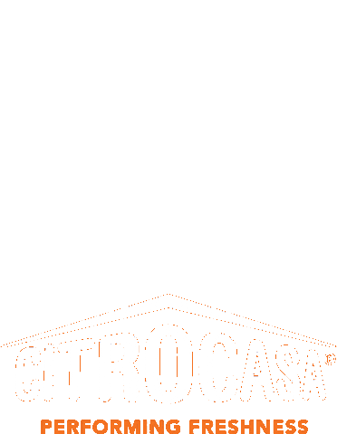 Orange Lemon Sticker by CITROCASA