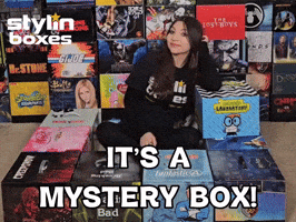 Stylin Boxes GIF