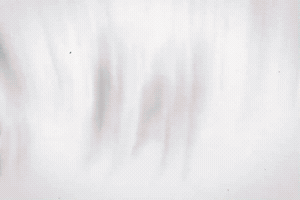 Rugby League Comeback GIF