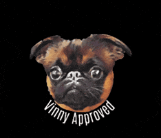 Vinnythegriff GIF by Odyssey Pets