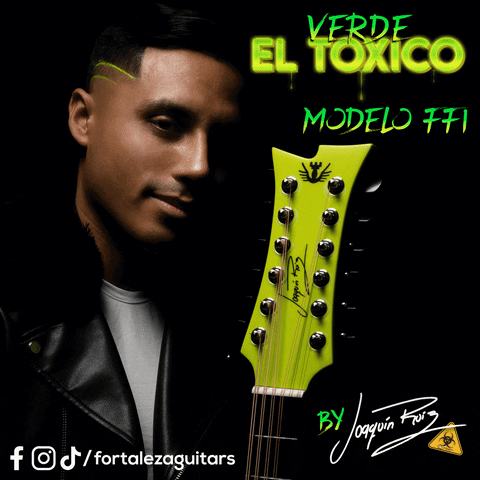 Mexico Mx GIF by Fortaleza Guitars