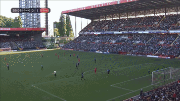 alezodendaal vikkstar123 GIF