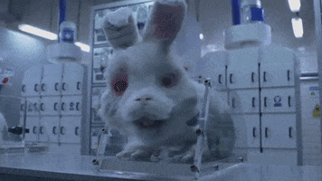 Crueltyfree GIF