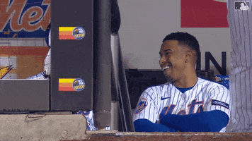 Ny Mets Laughing GIF by New York Mets