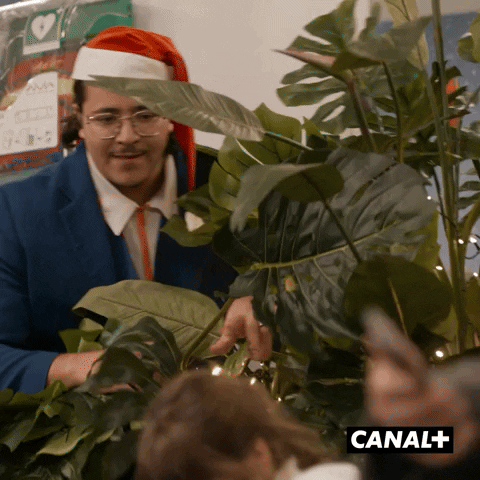 Jamel Debbouze Christmas GIF by CANAL+
