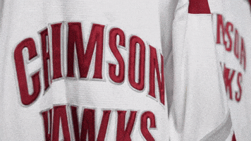 IupHockey GIF