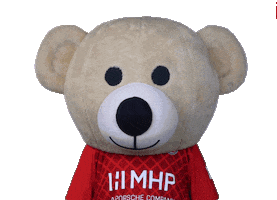 Bear Tor Sticker by 1. FC Heidenheim 1846