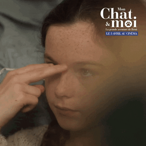 Cat Kitty GIF by Silenzio Interactive