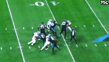 Carolina Panthers GIF by The Undroppables