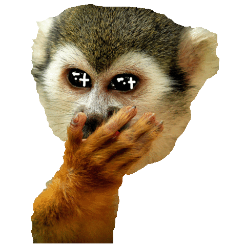 Animated Sticker