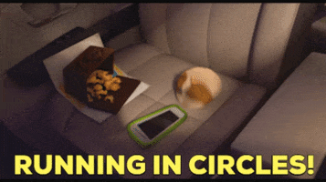 John Krasinski Running GIF by The Animal Crackers Movie