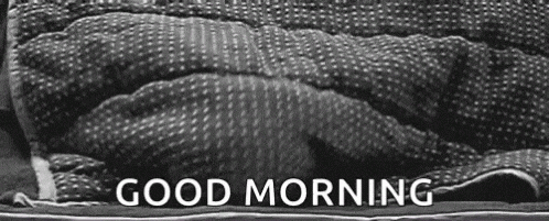 Good-morning-friend GIFs - Get the best GIF on GIPHY