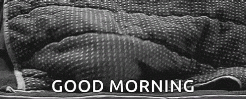 Good-morning GIFs - Get the best GIF on GIPHY