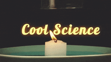 cool science GIF by Diply