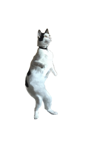 Dancing Anime Cat Gif , Png Download - Pixel Cat Gif Transparent, Png  Download , Transparent Png Image - PNGitem