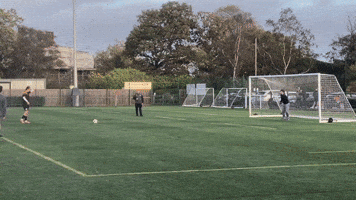 Penalty Newcastle GIF