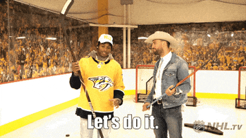 let's do it ice hockey GIF by NHL