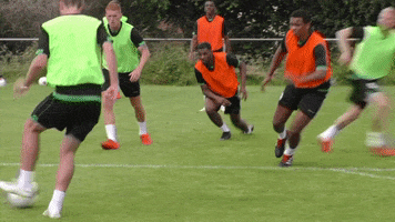 rogers gabby GIF by Yeovil Town FC