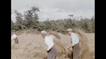 farm workers GIF