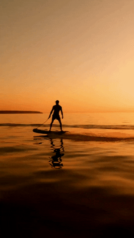 jetboard.EXPERIENCE GIF