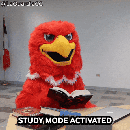 Redhawks Schoolwork GIF by LaGuardia Community College